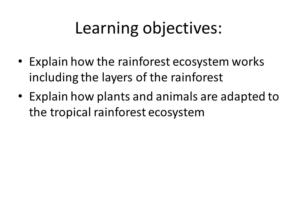 Learning objectives: Explain how the rainforest ecosystem works including the layers of the rainforest Explain how plants and animals are adapted to the tropical rainforest ecosystem