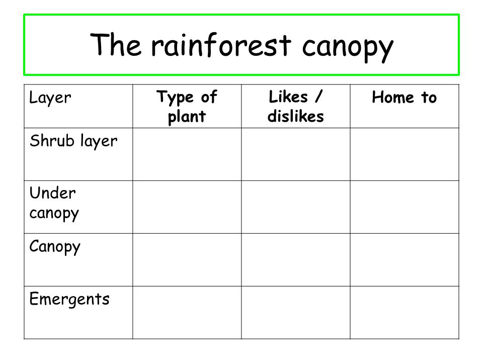 The rainforest canopy LayerType of plant Likes / dislikes Home to Shrub layer Under canopy Canopy Emergents