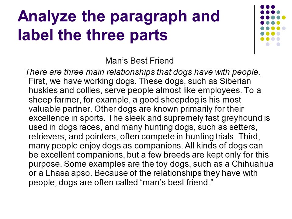 essays on working in groups essays on working in groups
