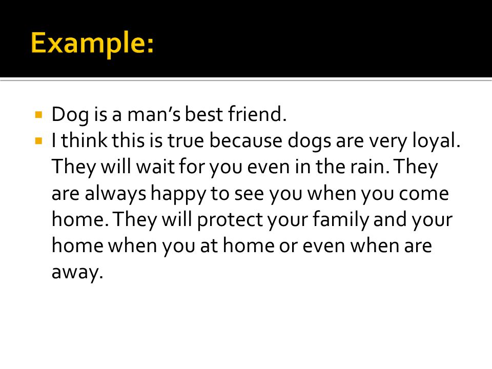 Dog is a man’s best friend.  I think this is true because dogs are very loyal.