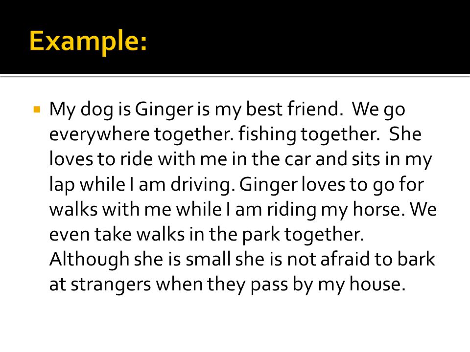  My dog is Ginger is my best friend. We go everywhere together.