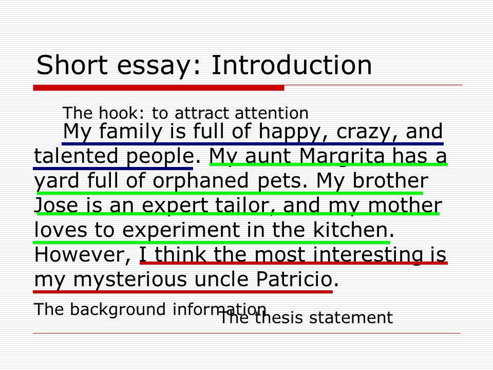 Examples How To Start An Essay Introduction