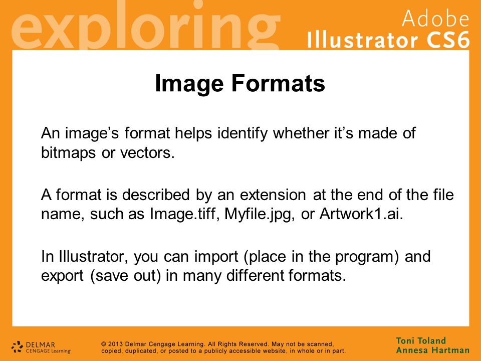 Image Formats An image’s format helps identify whether it’s made of bitmaps or vectors.