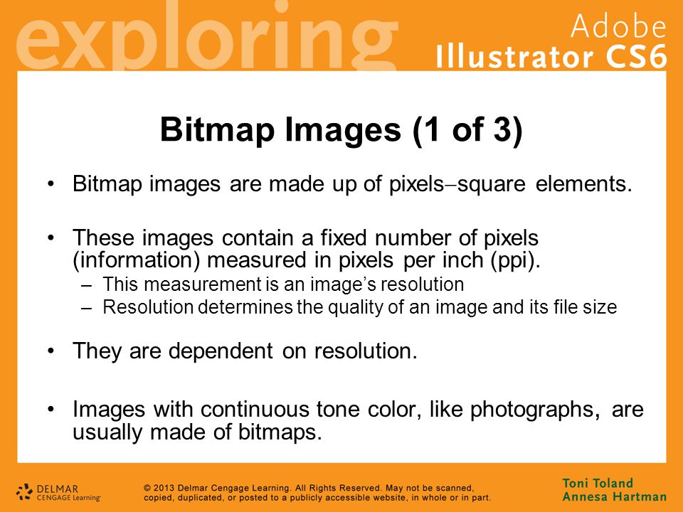 Bitmap Images (1 of 3) Bitmap images are made up of pixels  square elements.