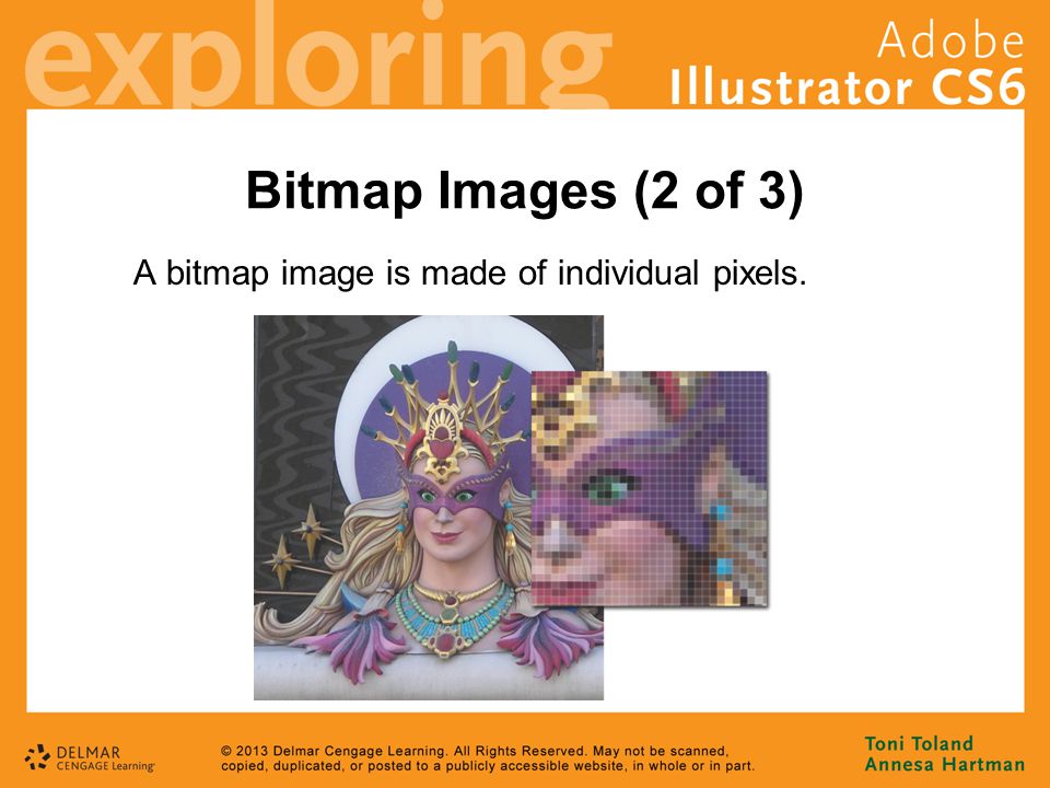 Bitmap Images (2 of 3) A bitmap image is made of individual pixels.