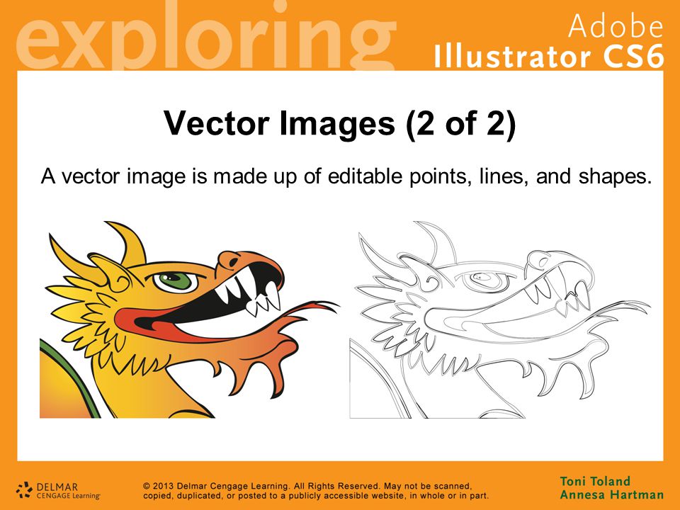 Vector Images (2 of 2) A vector image is made up of editable points, lines, and shapes.