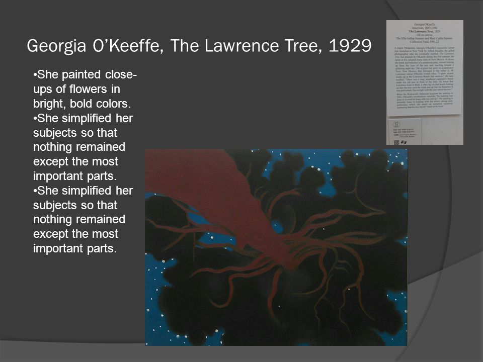 Georgia O’Keeffe, The Lawrence Tree, 1929 She painted close- ups of flowers in bright, bold colors.