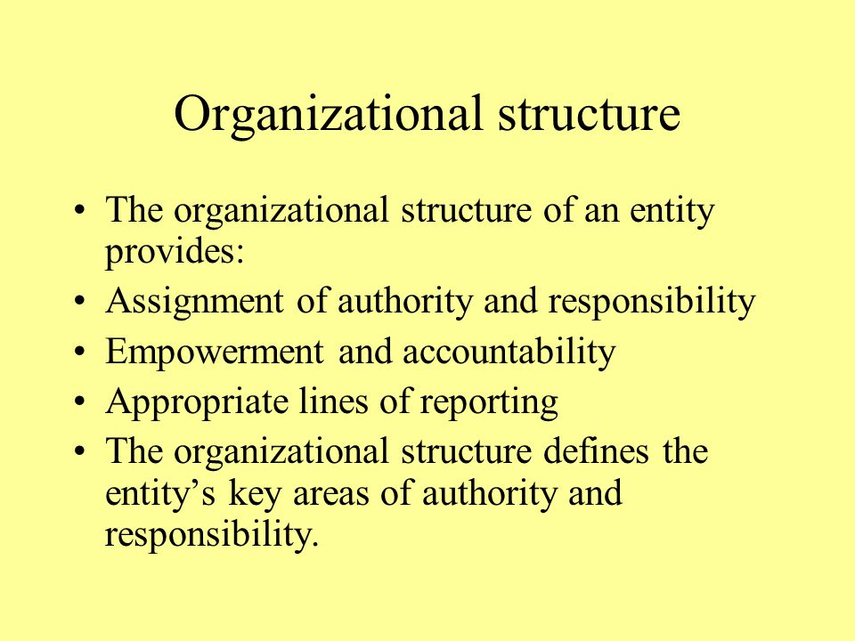 Organizational structure The organizational structure of an entity provides: Assignment of authority and responsibility Empowerment and accountability Appropriate lines of reporting The organizational structure defines the entity’s key areas of authority and responsibility.