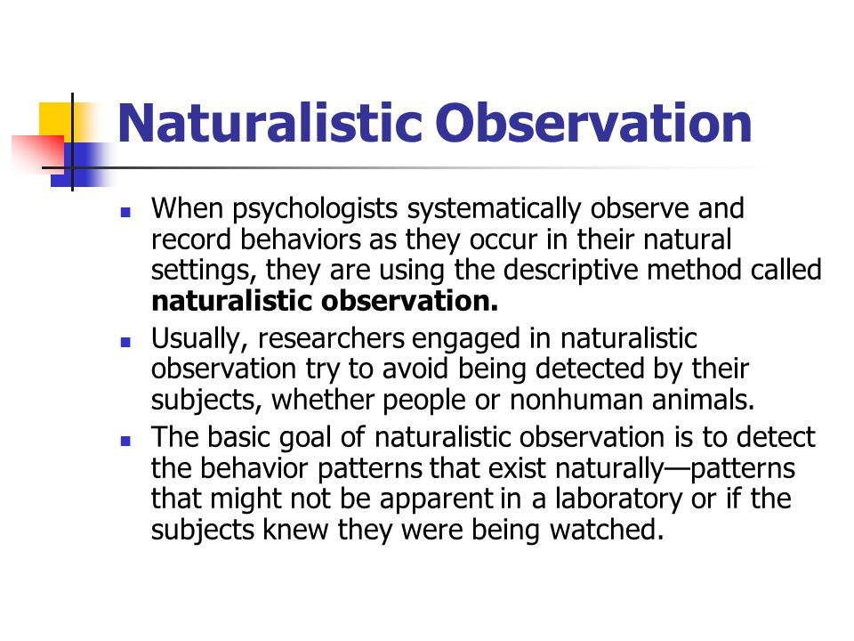 observation essays animals observation essays animals