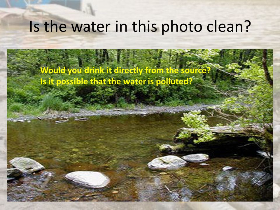 Is the water in this photo clean. Would you drink it directly from the source.