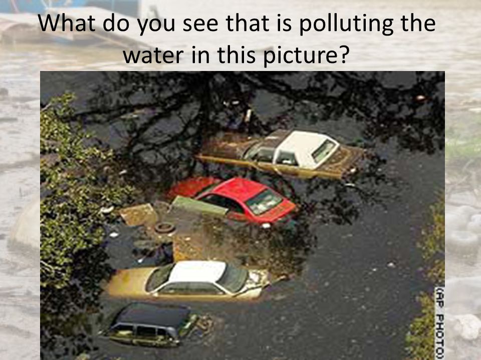 What do you see that is polluting the water in this picture