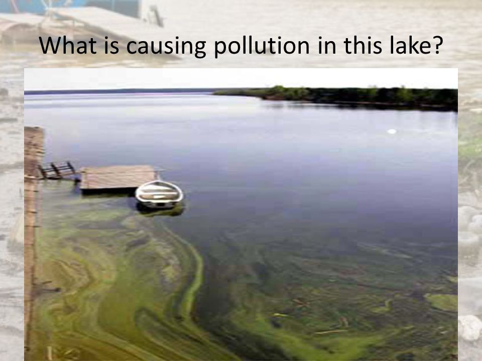 What is causing pollution in this lake