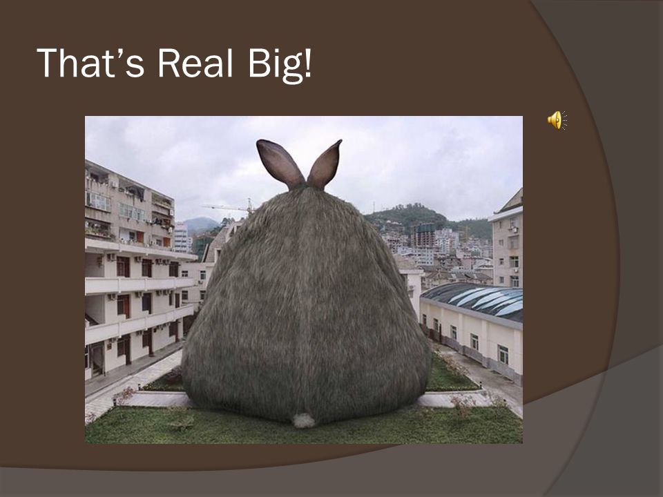 That’s Real Big!