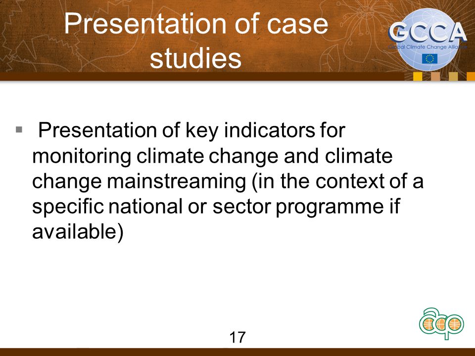 Presentation of case studies  Presentation of key indicators for monitoring climate change and climate change mainstreaming (in the context of a specific national or sector programme if available) 17