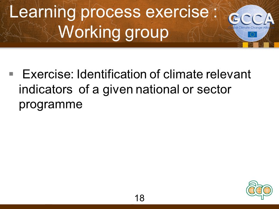 Learning process exercise : Working group  Exercise: Identification of climate relevant indicators of a given national or sector programme 18