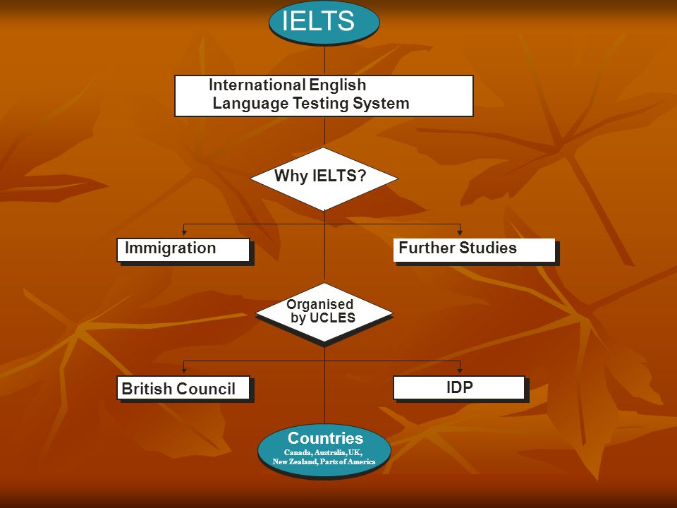 IELTS Immigration International English Language Testing System Why IELTS.