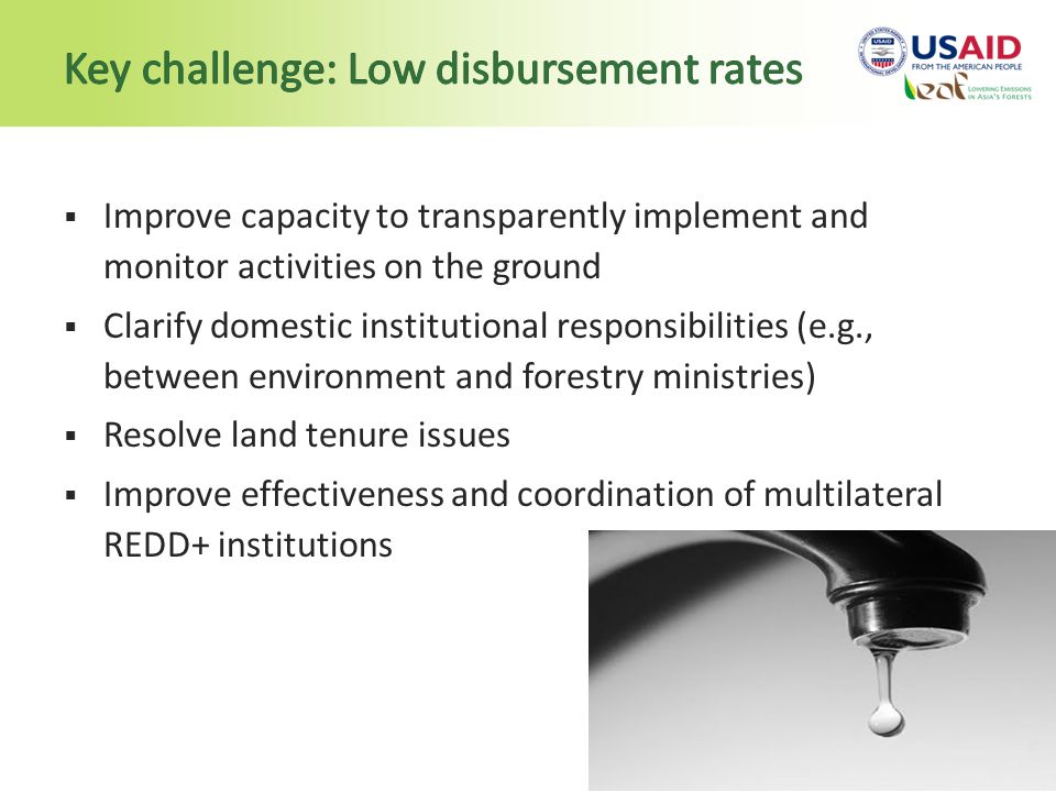  Improve capacity to transparently implement and monitor activities on the ground  Clarify domestic institutional responsibilities (e.g., between environment and forestry ministries)  Resolve land tenure issues  Improve effectiveness and coordination of multilateral REDD+ institutions
