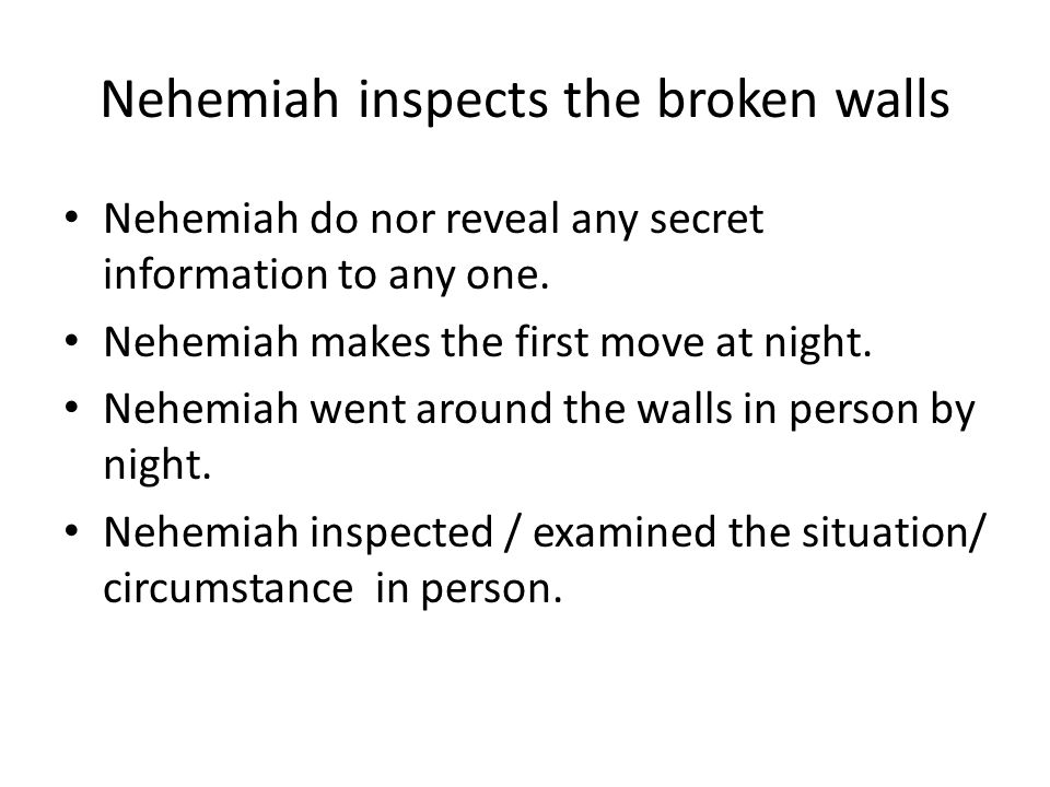 Nehemiah inspects the broken walls Nehemiah do nor reveal any secret information to any one.