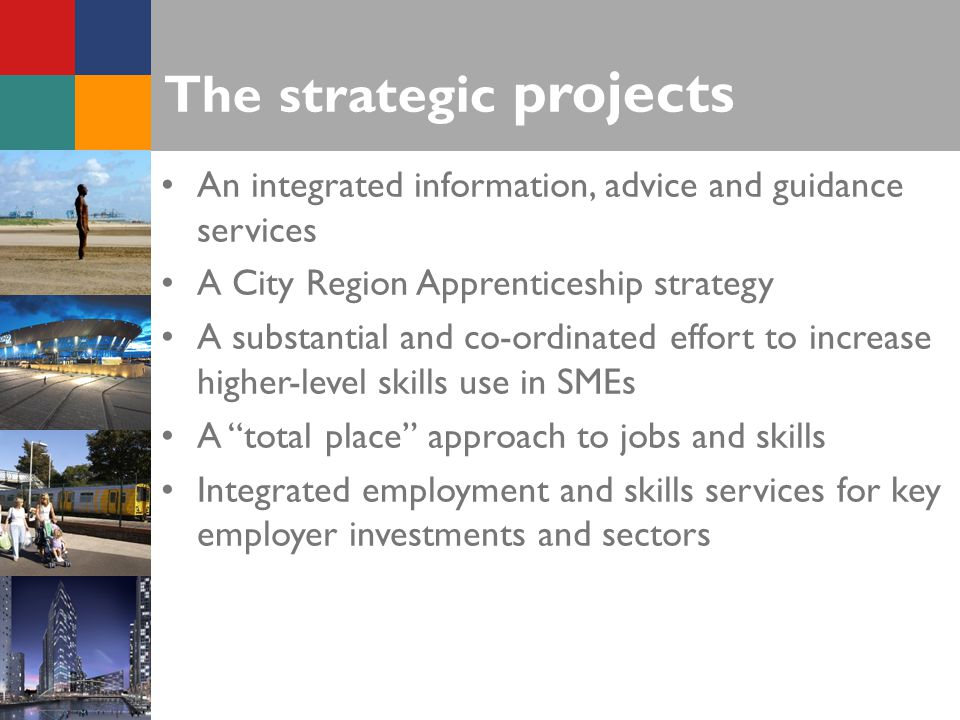 The strategic projects An integrated information, advice and guidance services A City Region Apprenticeship strategy A substantial and co-ordinated effort to increase higher-level skills use in SMEs A total place approach to jobs and skills Integrated employment and skills services for key employer investments and sectors