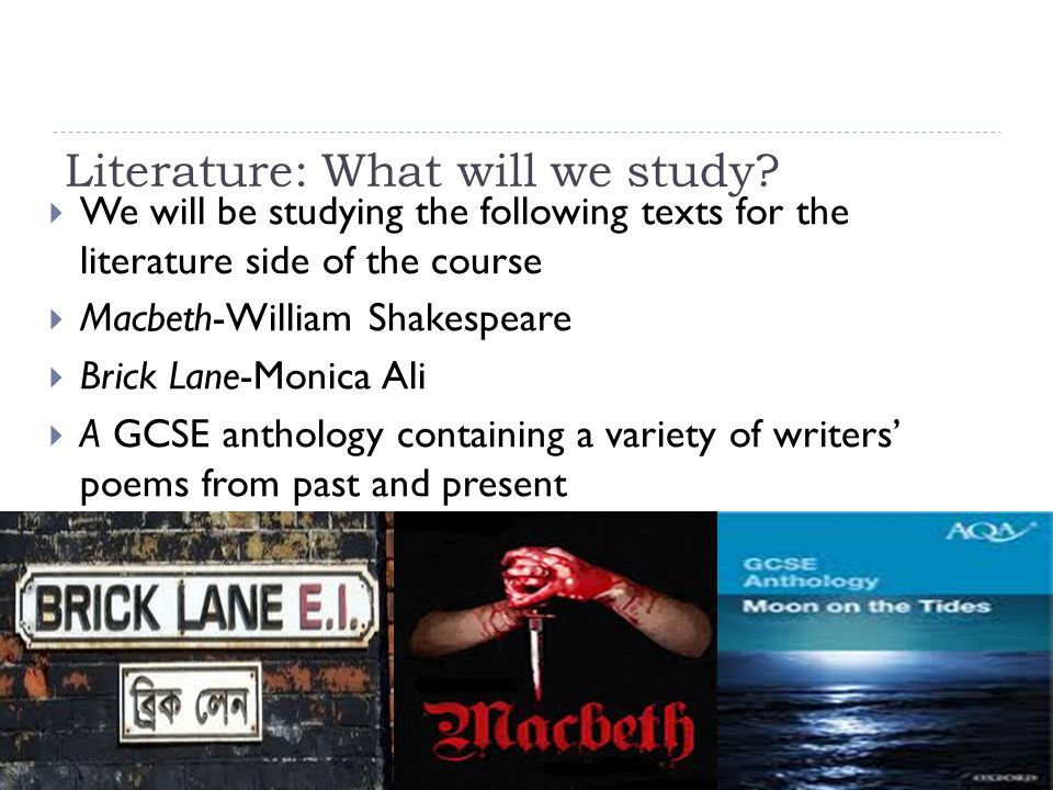 Literature: What will we study.