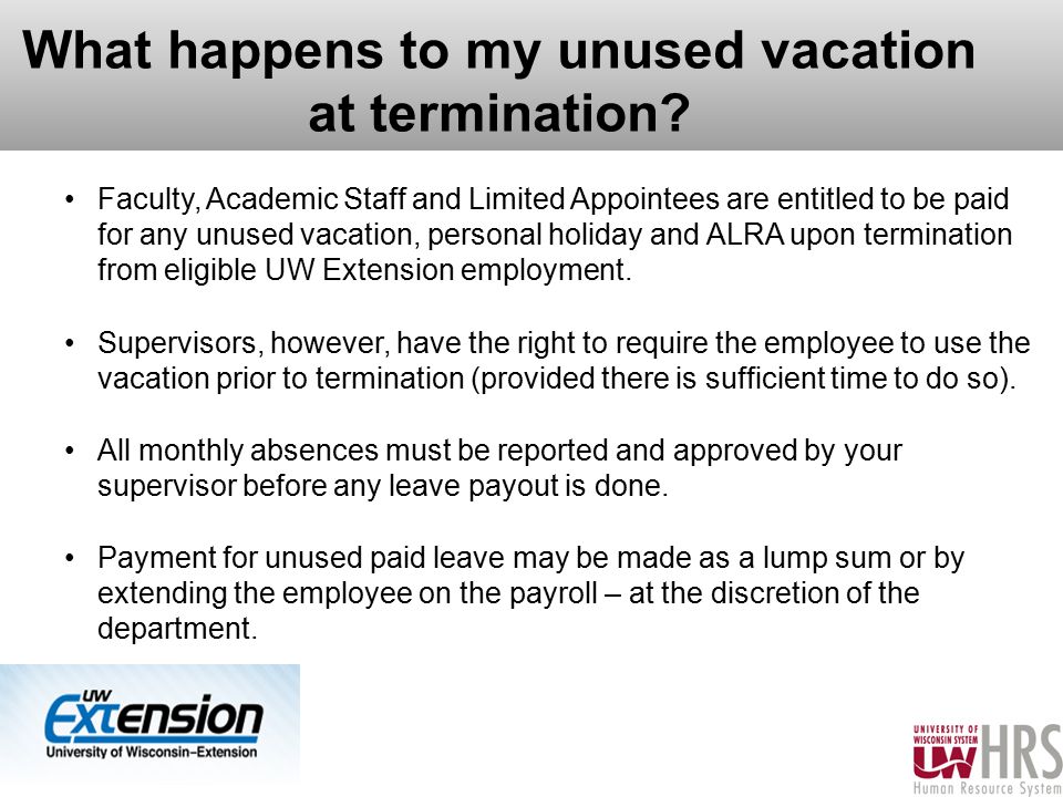 Example Transfer Essays
