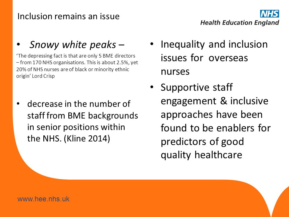 Inclusion remains an issue Snowy white peaks – ‘The depressing fact is that are only 5 BME directors – from 170 NHS organisations.