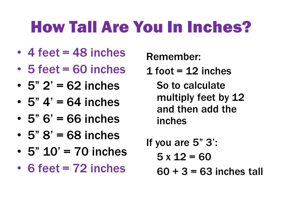 How Tall Are You In Inches.