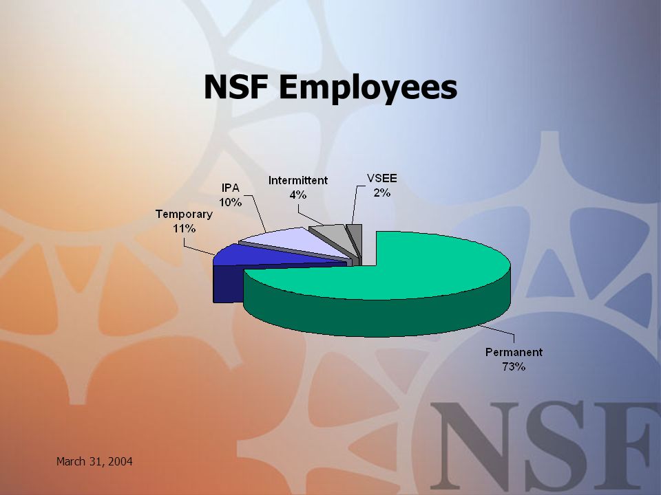 March 31, 2004 NSF Employees