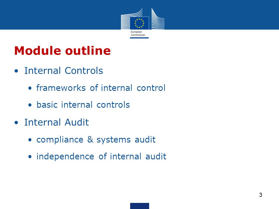 Internal Controls frameworks of internal control basic internal controls Internal Audit compliance & systems audit independence of internal audit Module outline 3