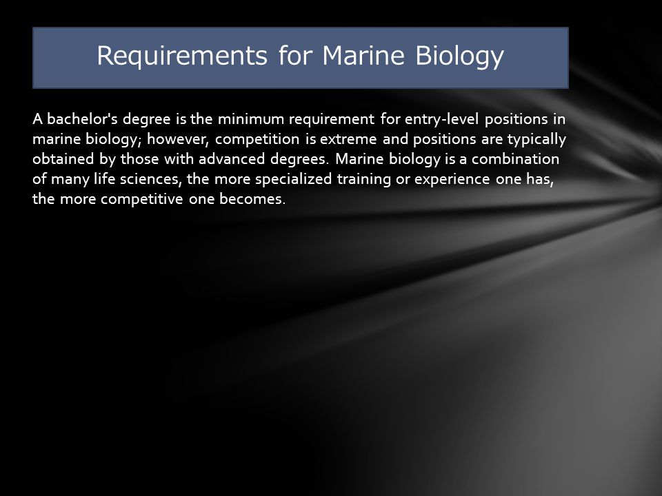 A bachelor s degree is the minimum requirement for entry-level positions in marine biology; however, competition is extreme and positions are typically obtained by those with advanced degrees.