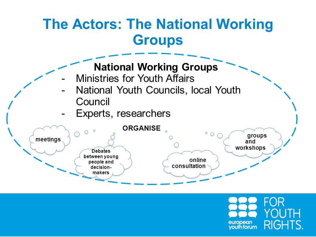 The Actors: The National Working Groups National Working Groups -Ministries for Youth Affairs -National Youth Councils, local Youth Council -Experts, researchers conduct consultations with young people and and regional wherever possible).