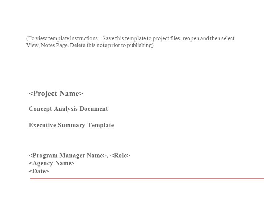 1 page executive summary template
