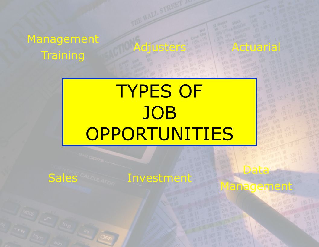 Management Training AdjustersActuarial TYPES OF JOB OPPORTUNITIES SalesInvestment Data Management