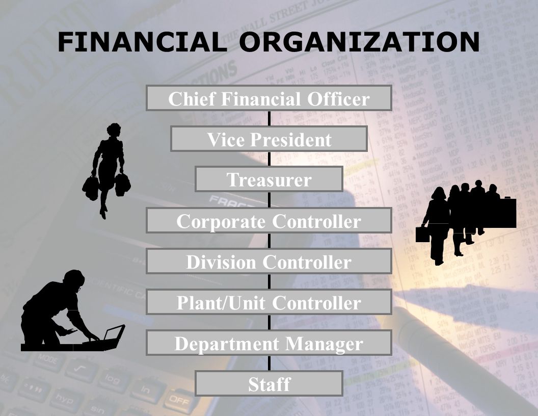 FINANCIAL ORGANIZATION Chief Financial Officer Vice President Treasurer Corporate Controller Division Controller Plant/Unit Controller Department Manager Staff