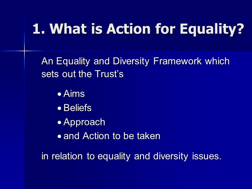 1. What is Action for Equality.