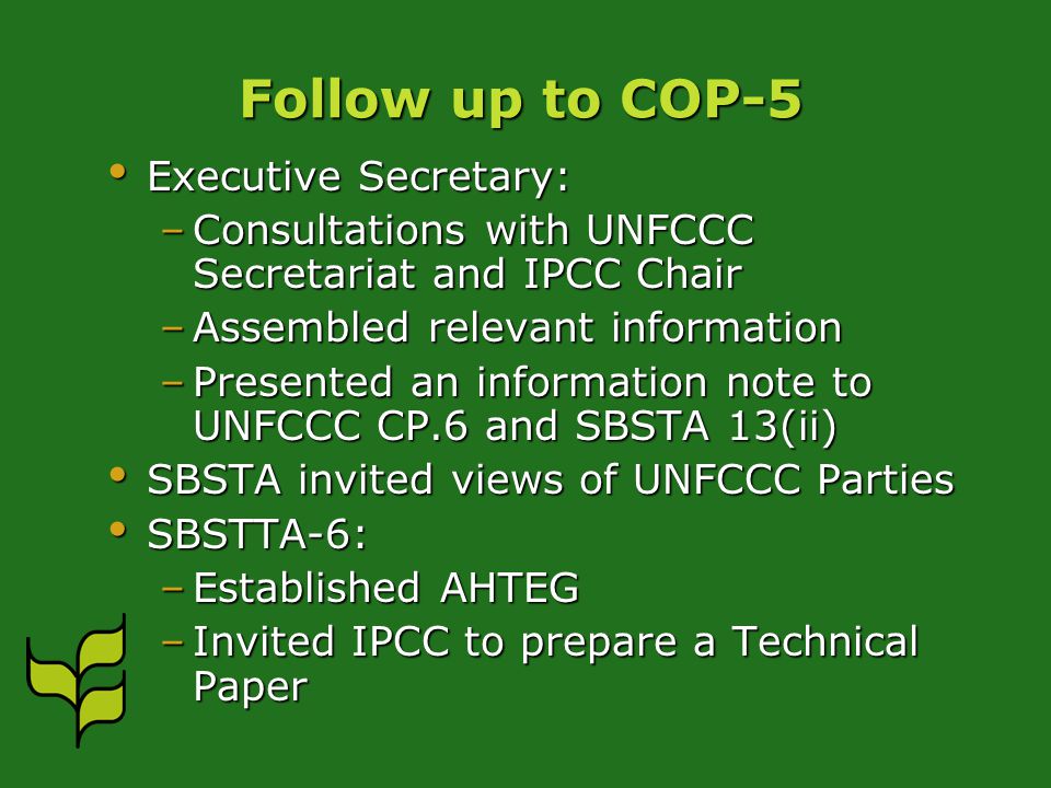 Follow up to COP-5 Executive Secretary: Executive Secretary: –Consultations with UNFCCC Secretariat and IPCC Chair –Assembled relevant information –Presented an information note to UNFCCC CP.6 and SBSTA 13(ii) SBSTA invited views of UNFCCC Parties SBSTA invited views of UNFCCC Parties SBSTTA-6: SBSTTA-6: –Established AHTEG –Invited IPCC to prepare a Technical Paper