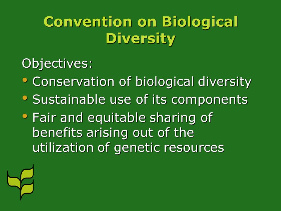 Convention on Biological Diversity Objectives: Conservation of biological diversity Conservation of biological diversity Sustainable use of its components Sustainable use of its components Fair and equitable sharing of benefits arising out of the utilization of genetic resources Fair and equitable sharing of benefits arising out of the utilization of genetic resources