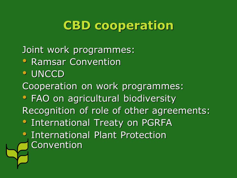 CBD cooperation Joint work programmes: Ramsar Convention Ramsar Convention UNCCD UNCCD Cooperation on work programmes: FAO on agricultural biodiversity FAO on agricultural biodiversity Recognition of role of other agreements: International Treaty on PGRFA International Treaty on PGRFA International Plant Protection Convention International Plant Protection Convention