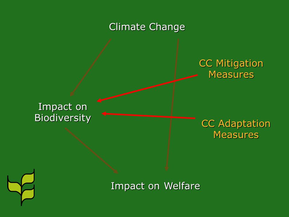 Climate Change Impact on Biodiversity Impact on Welfare CC Mitigation Measures CC Adaptation Measures