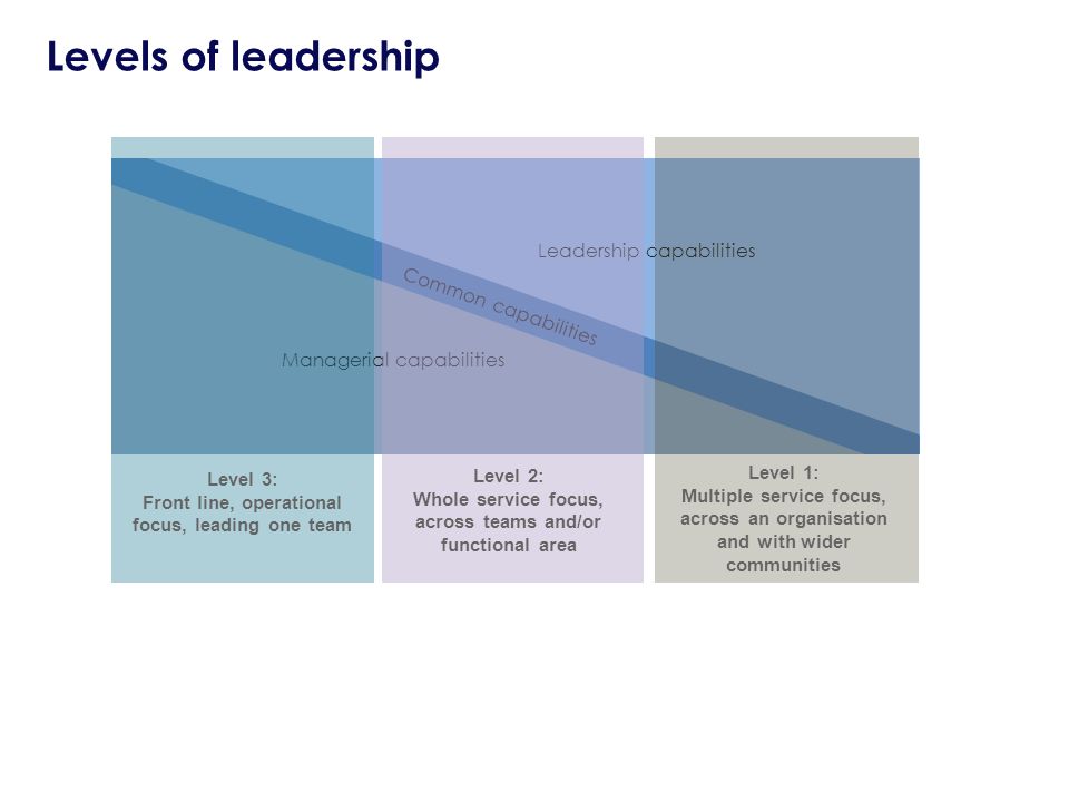 Leadership capabilities Managerial capabilities Common capabilities Level 3: Front line, operational focus, leading one team Level 2: Whole service focus, across teams and/or functional area Level 1: Multiple service focus, across an organisation and with wider communities Levels of leadership