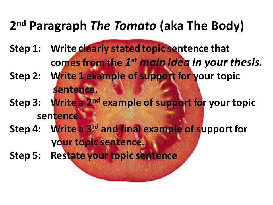 2 nd Paragraph The Tomato (aka The Body) Step 1:Write clearly stated topic sentence that comes from the 1 st main idea in your thesis.