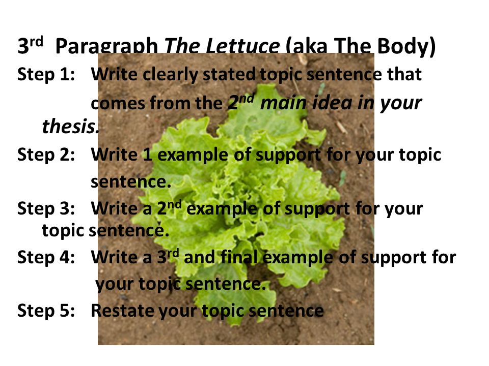 3 rd Paragraph The Lettuce (aka The Body) Step 1:Write clearly stated topic sentence that comes from the 2 nd main idea in your thesis.
