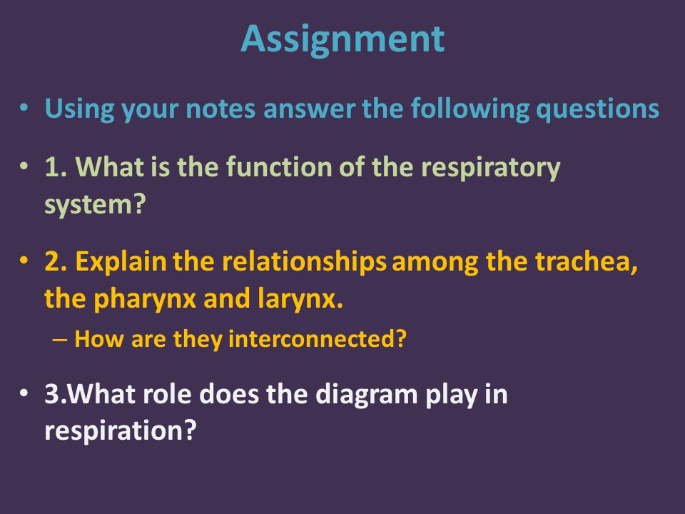 Assignment Using your notes answer the following questions 1.