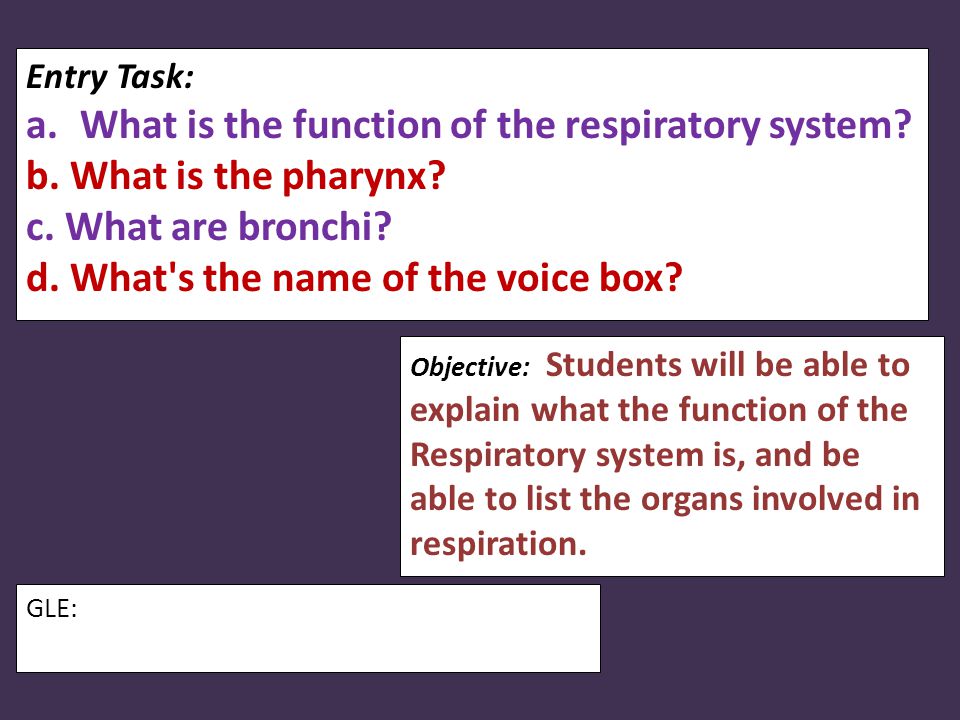 Entry Task: a.What is the function of the respiratory system.