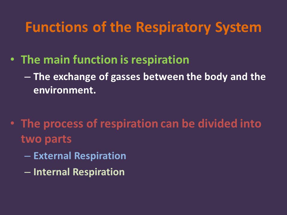 Functions of the Respiratory System The main function is respiration – The exchange of gasses between the body and the environment.