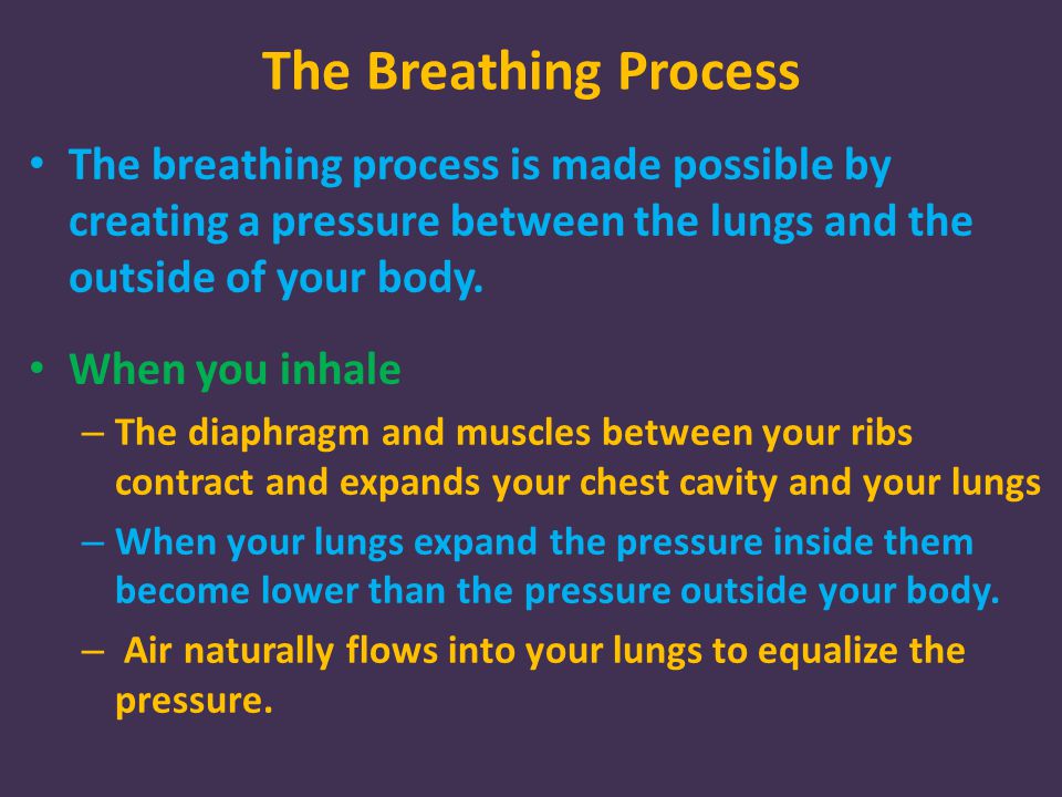 The Breathing Process The breathing process is made possible by creating a pressure between the lungs and the outside of your body.