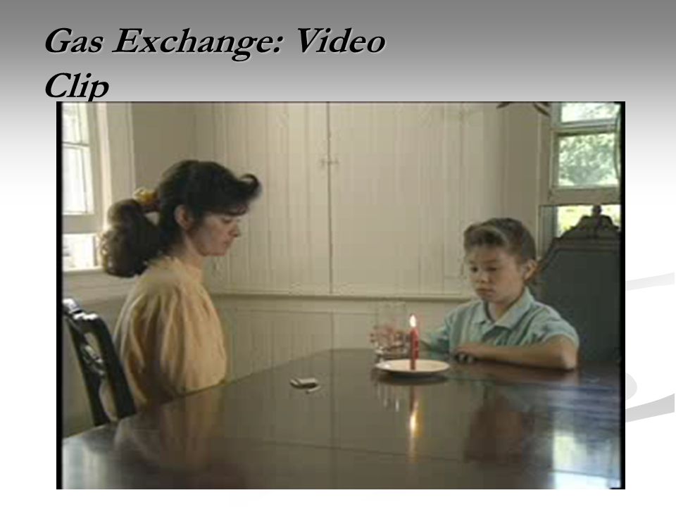 Gas Exchange: Video Clip