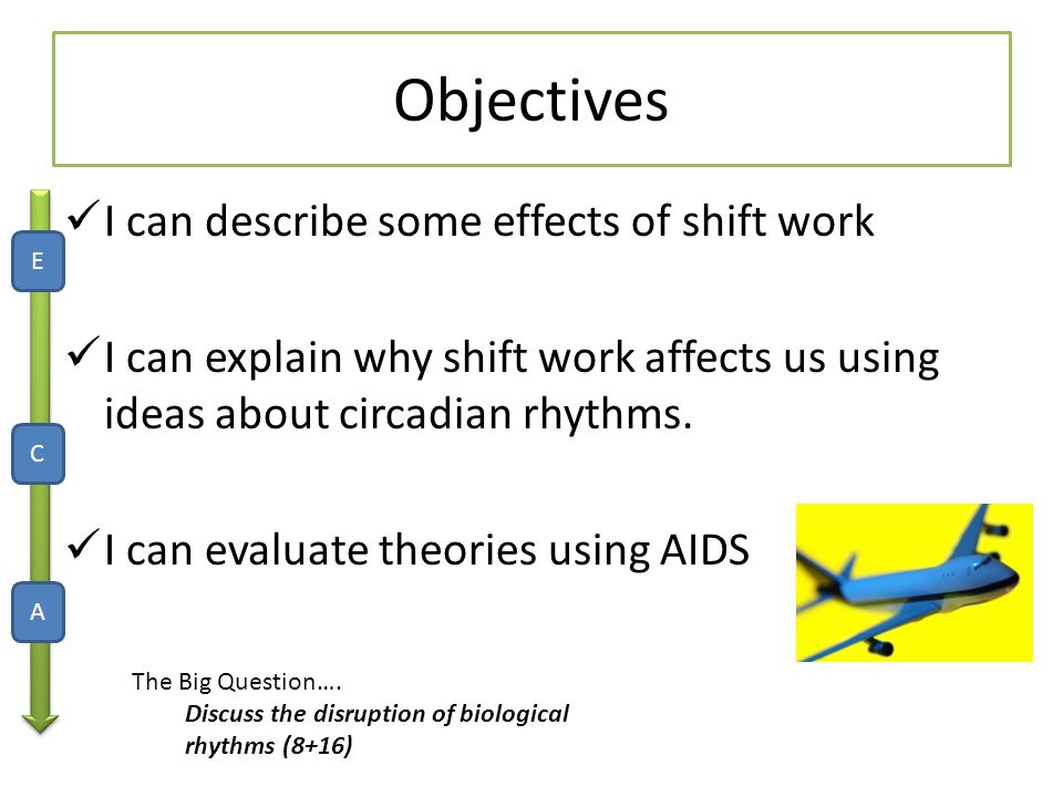 Objectives I can describe some effects of shift work I can explain why shift work affects us using ideas about circadian rhythms.