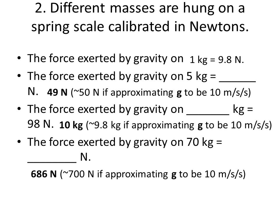 2. Different masses are hung on a spring scale calibrated in Newtons.