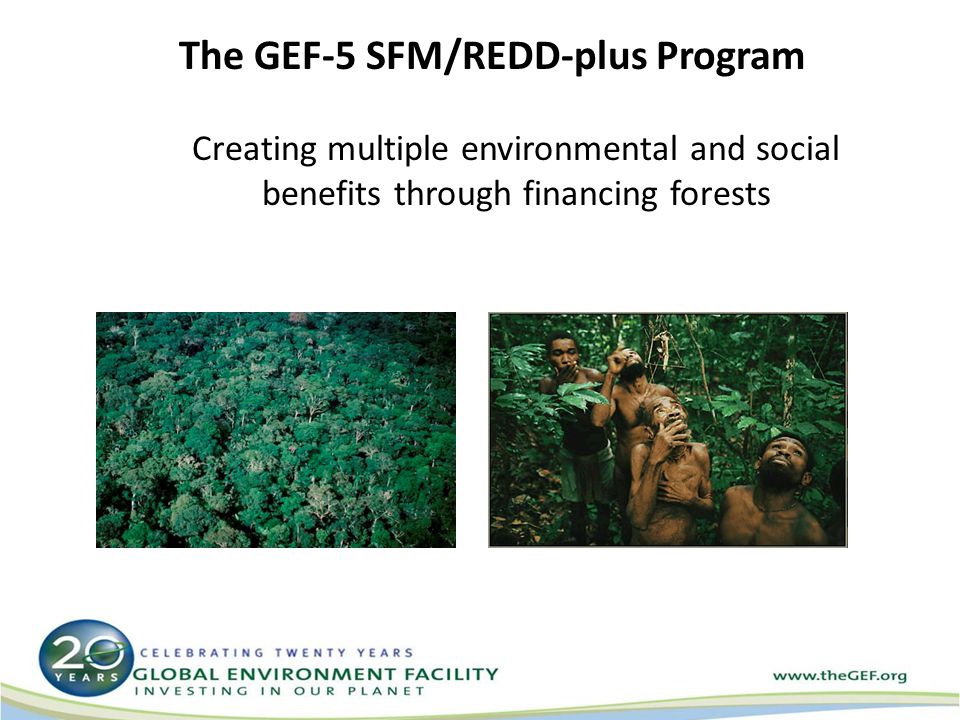 The GEF-5 SFM/REDD-plus Program Creating multiple environmental and social benefits through financing forests